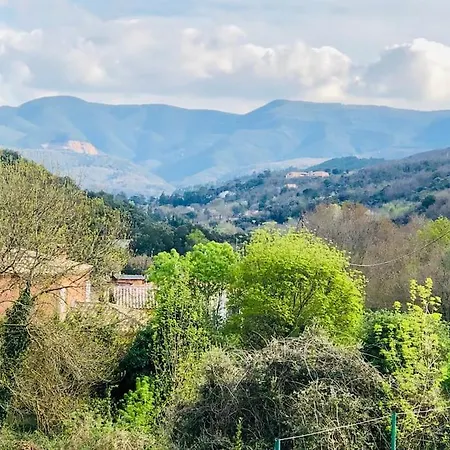 Maison Vigneronne 4-6pers Proche Lamalou-les-bains Prázdninový dům *